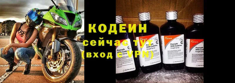 продажа наркотиков  MEGA   Кодеин напиток Lean (лин)  Нижнеудинск 